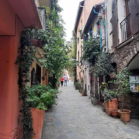 Lägenhet Petit Paradis , Le Charme De La Vieille Face A La *